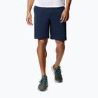Шорти трекінгові чоловічі Columbia Tech Trail collegiate navy