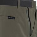 Шорти трекінгові чоловічі Columbia Tech Trail stone green 9
